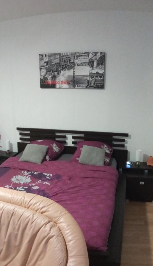 Classe 3 Etoiles Au Coeur De Apartment Niederbronn-les-Bains